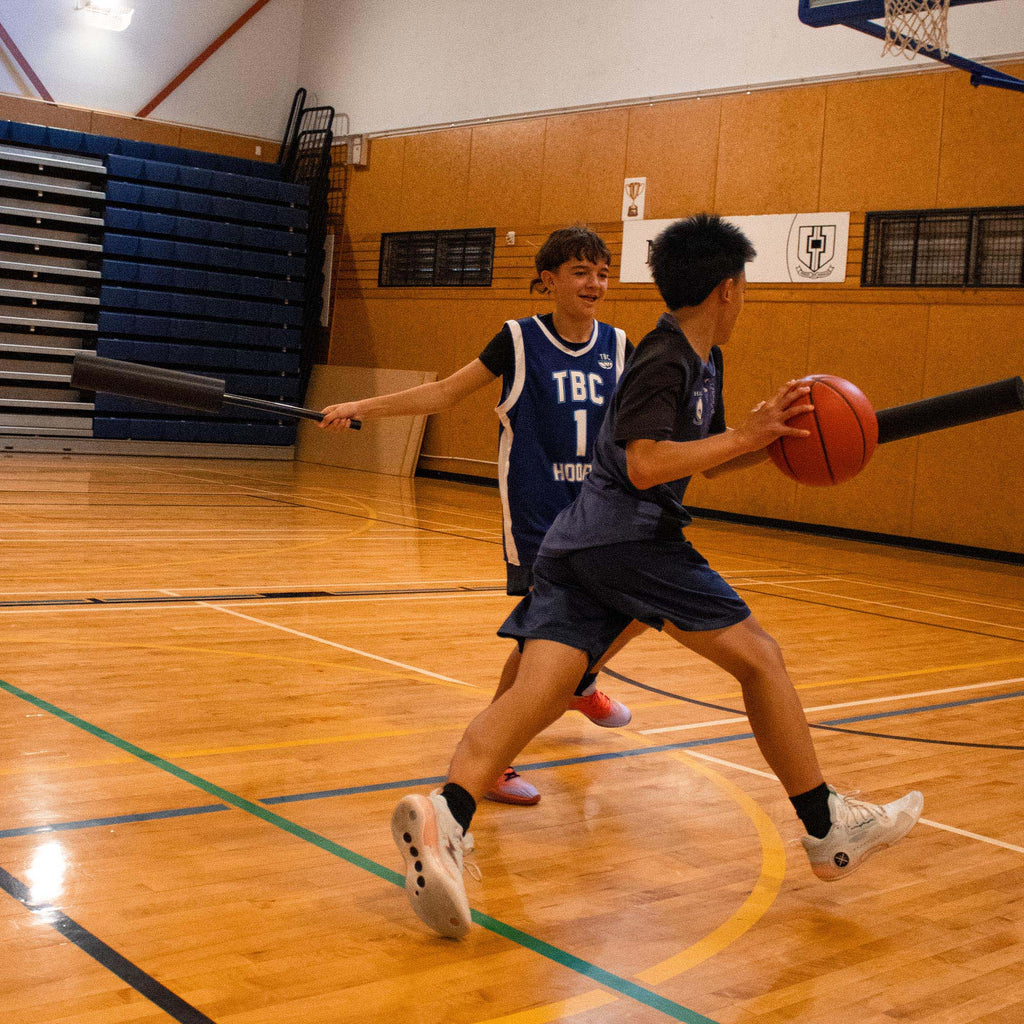 Silver Fern Interference Sticks (Pair)