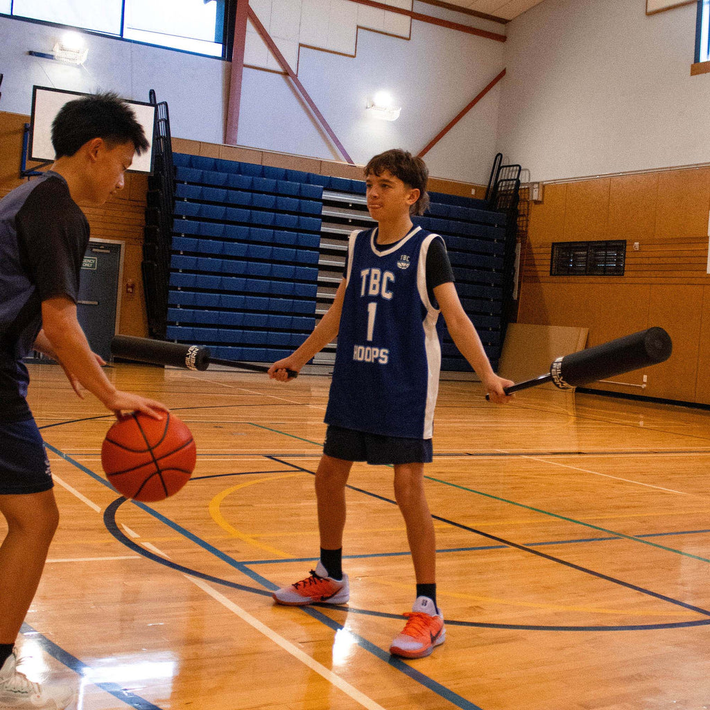 Silver Fern Interference Sticks (Pair)